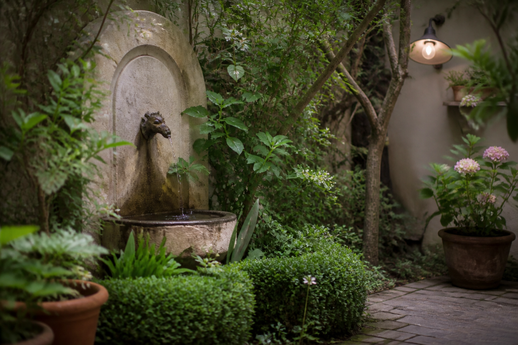 Petit jardin avec fontaine lumieres et plantes