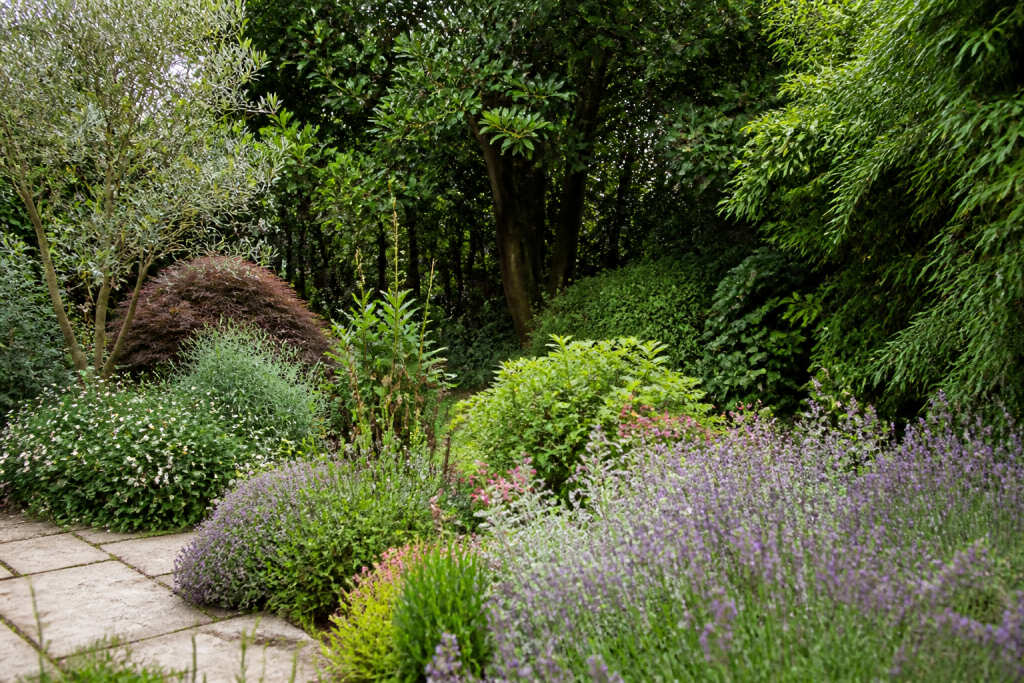 Plantes basses devant, sujets hauts au fond du jardin